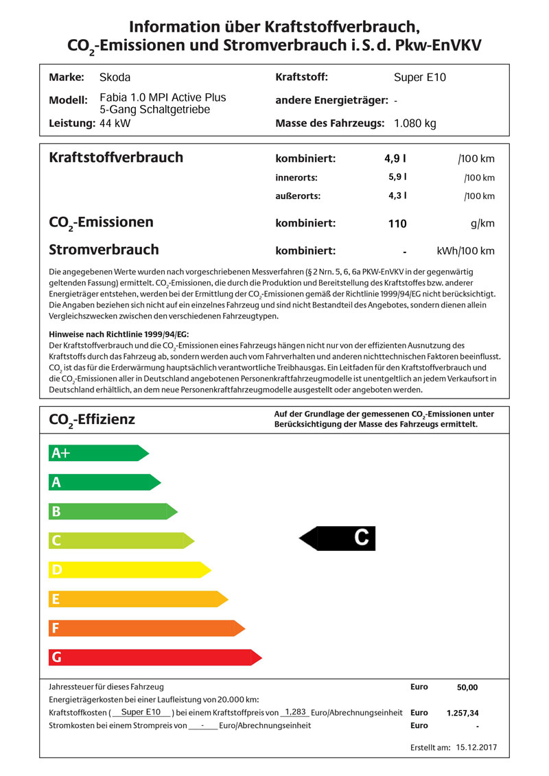 Skoda Citigo Verbrauch