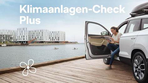 Klimaanlagen-Check Sommer-2021 Klimaanlagen-Check Sommer-2021